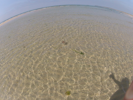 GOPR0560 (05-14-2012 11:14)