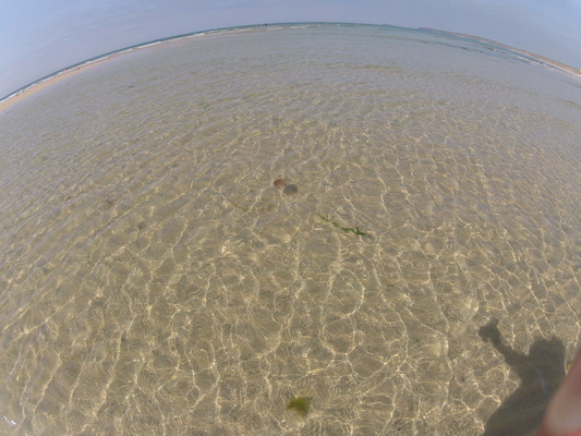 GOPR0561 (05-14-2012 11:14)