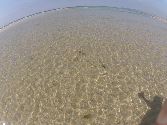 GOPR0562 (05-14-2012 11:14)