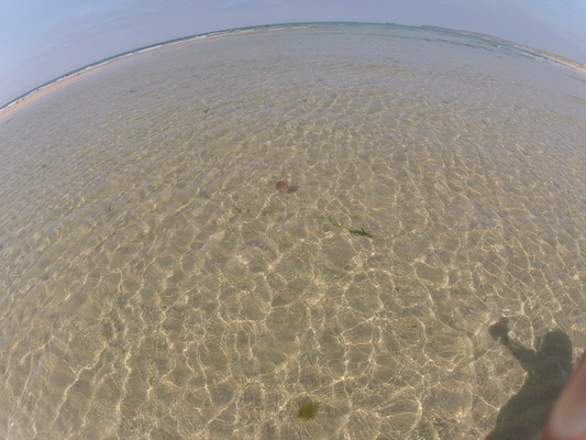 GOPR0563 (05-14-2012 11:14)