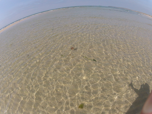 GOPR0564 (05-14-2012 11:14)