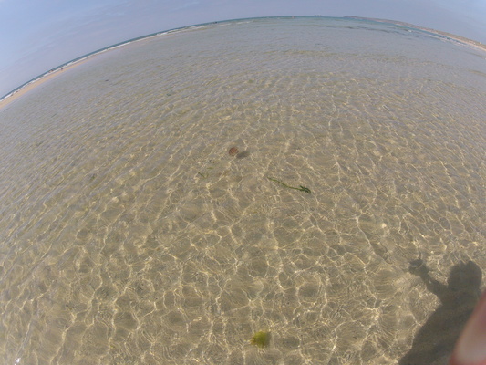 GOPR0565 (05-14-2012 11:14)