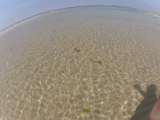 GOPR0566 (05-14-2012 11:14)