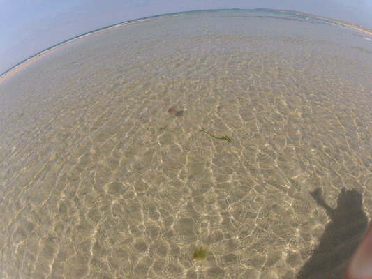 GOPR0567 (05-14-2012 11:14)