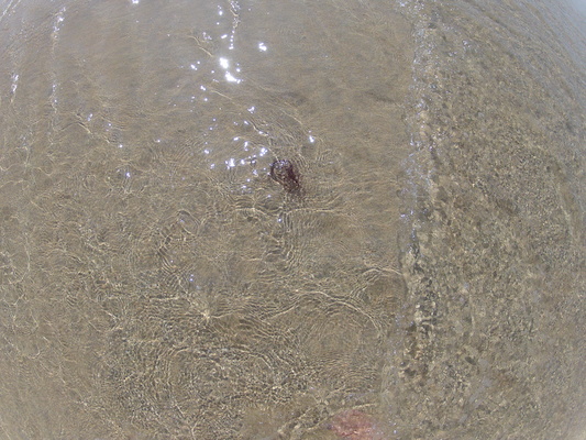 GOPR0709 (05-14-2012 11:20)