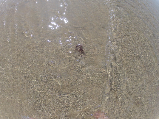 GOPR0710 (05-14-2012 11:20)