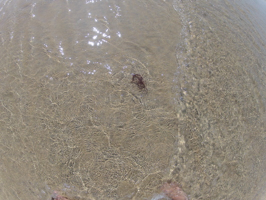 GOPR0711 (05-14-2012 11:20)