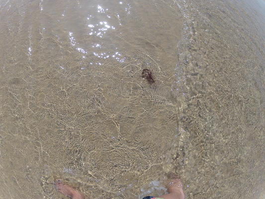 GOPR0712 (05-14-2012 11:20)