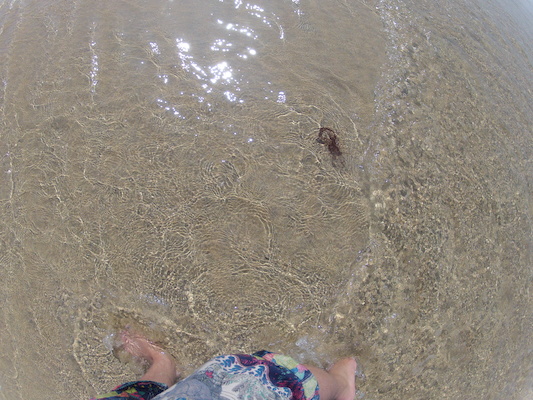 GOPR0713 (05-14-2012 11:20)