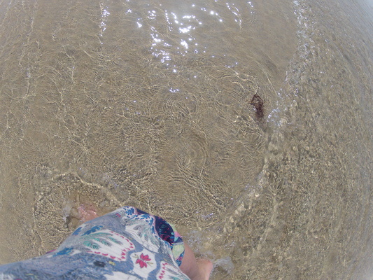 GOPR0714 (05-14-2012 11:20)