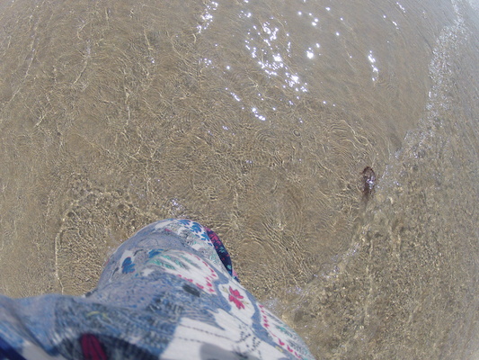 GOPR0715 (05-14-2012 11:20)