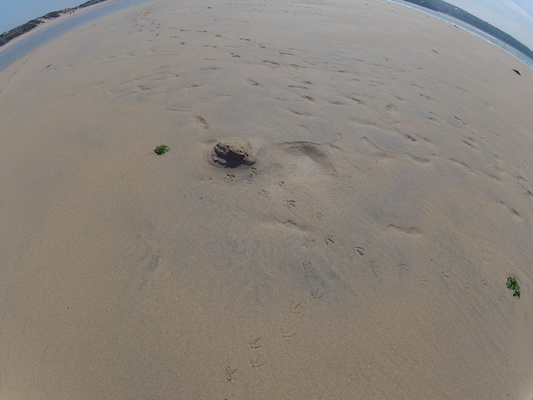 GOPR0719 (05-14-2012 11:20)