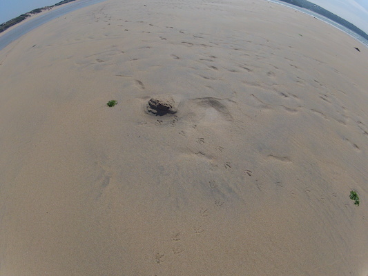 GOPR0720 (05-14-2012 11:20)