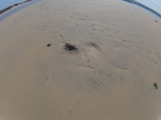 GOPR0721 (05-14-2012 11:20)