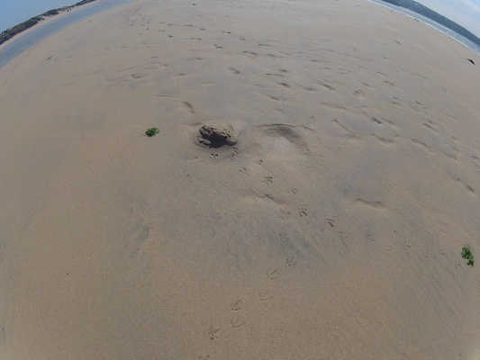 GOPR0727 (05-14-2012 11:20)