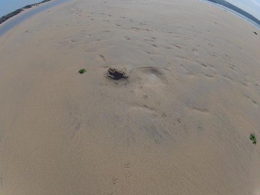 GOPR0728 (05-14-2012 11:20)