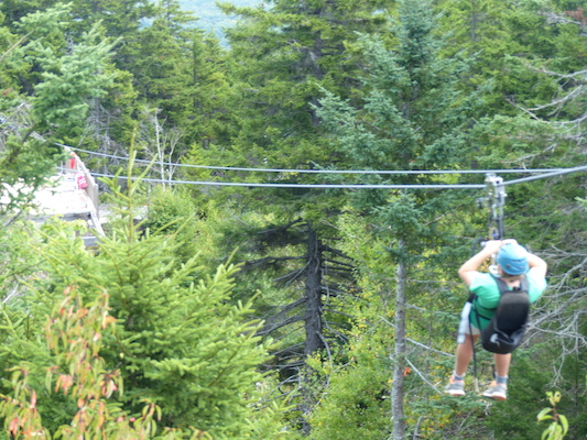 P1060246 (09-10-2016 11:39)