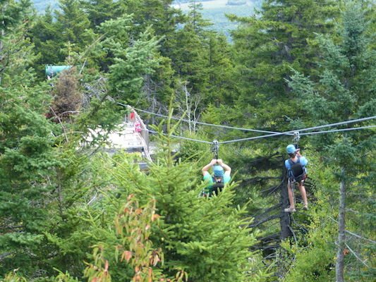 P1060248 (09-10-2016 11:39)