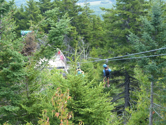 P1060249 (09-10-2016 11:39)