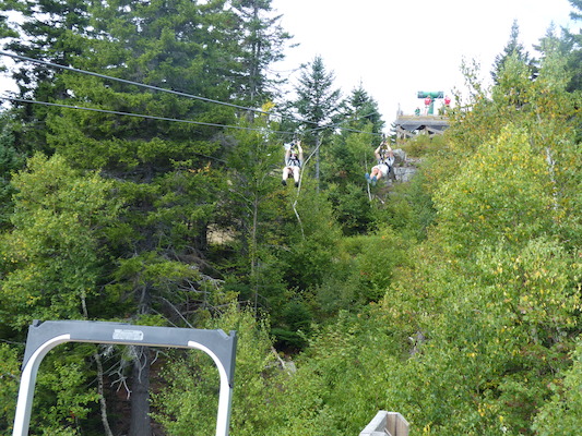 P1060252 (09-10-2016 11:42)