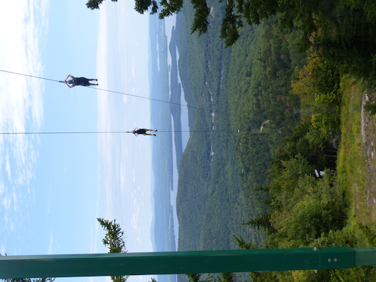 P1060263 (09-10-2016 11:43)