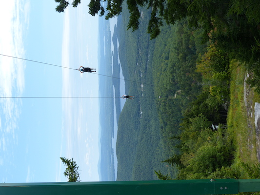 P1060268 (09-10-2016 11:43)