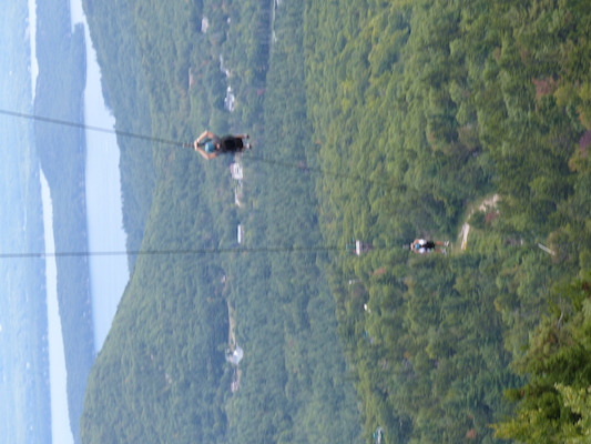 P1060270 (09-10-2016 11:43)