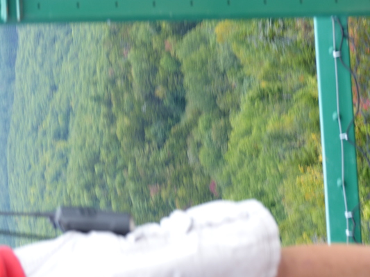 P1060274 (09-10-2016 11:46)