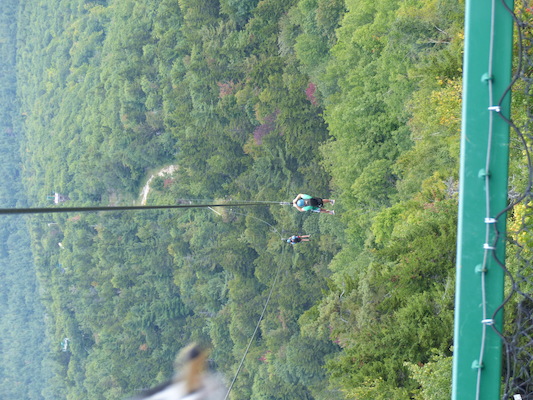 P1060275 (09-10-2016 11:46)