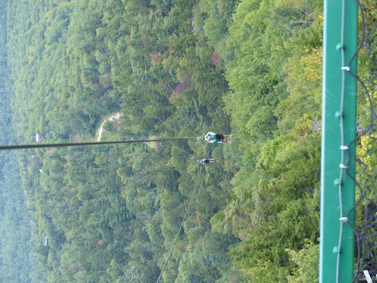 P1060276 (09-10-2016 11:46)