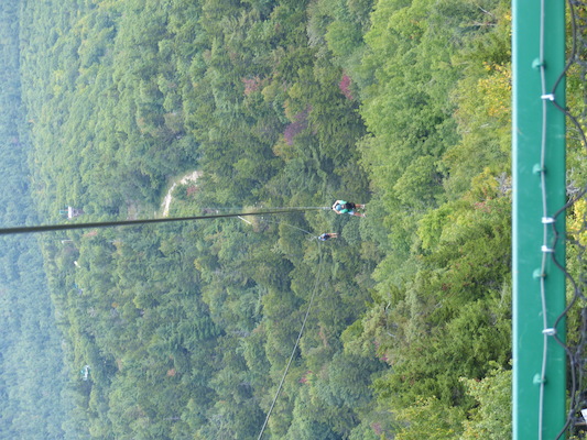 P1060277 (09-10-2016 11:46)