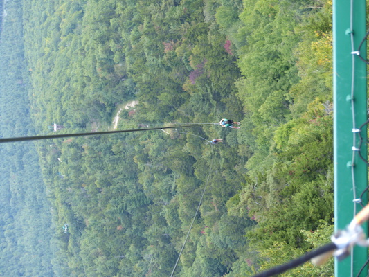 P1060278 (09-10-2016 11:46)