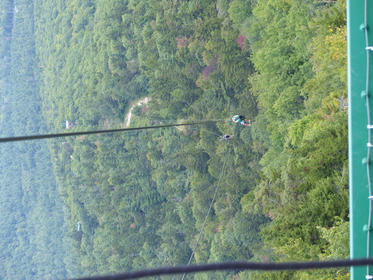 P1060279 (09-10-2016 11:46)