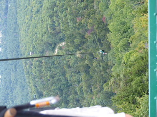 P1060280 (09-10-2016 11:47)