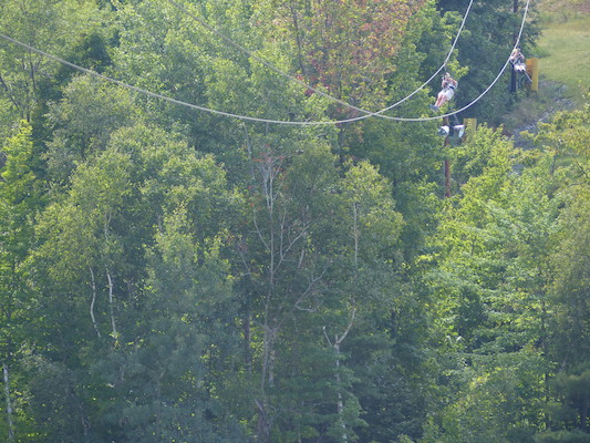 P1060282 (09-10-2016 12:01)