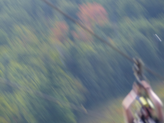 P1060304 (09-10-2016 12:01)