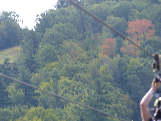 P1060305 (09-10-2016 12:01)