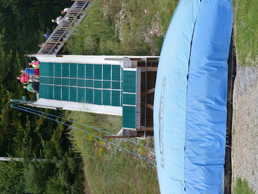 P1060320 (09-10-2016 12:44)