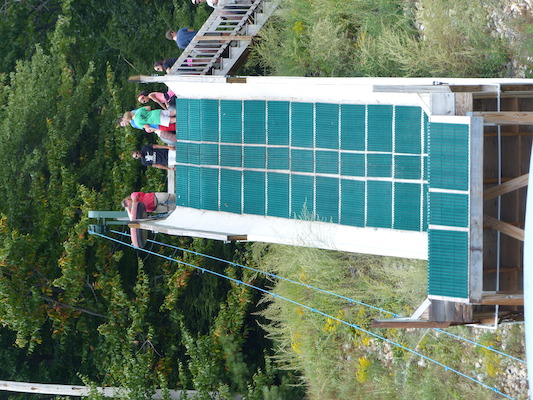 P1060330 (09-10-2016 12:44)