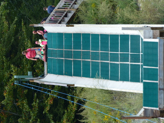 P1060332 (09-10-2016 12:45)