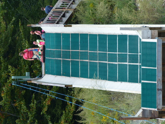 P1060333 (09-10-2016 12:45)