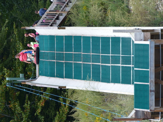 P1060335 (09-10-2016 12:45)