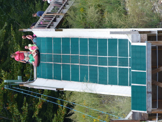 P1060338 (09-10-2016 12:45)