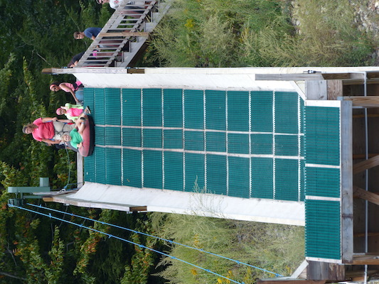 P1060339 (09-10-2016 12:45)