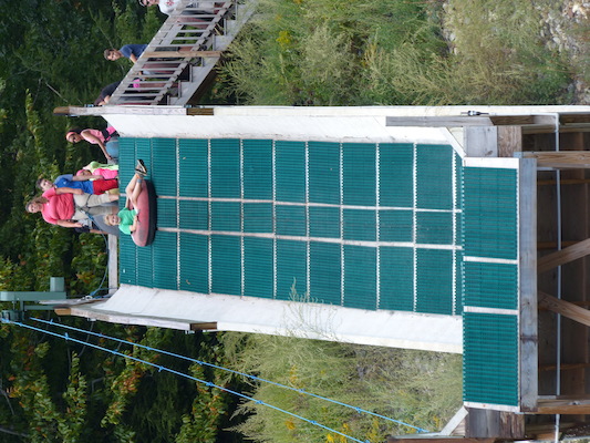 P1060342 (09-10-2016 12:45)