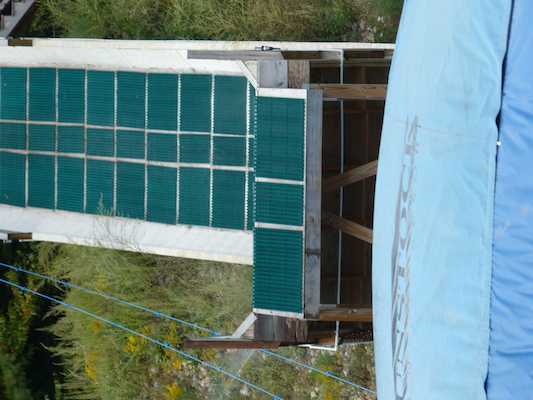 P1060351 (09-10-2016 12:45)