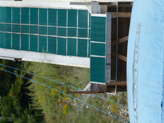 P1060352 (09-10-2016 12:45)