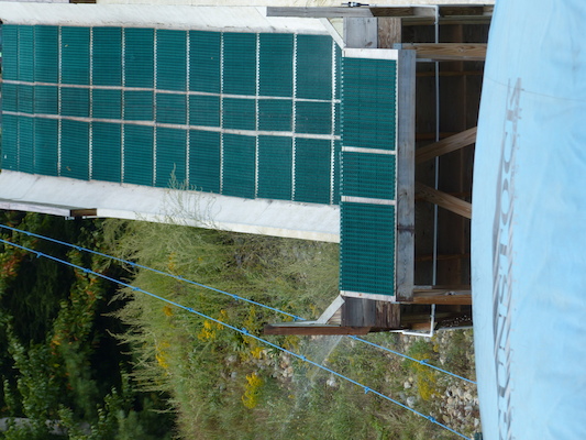 P1060353 (09-10-2016 12:45)