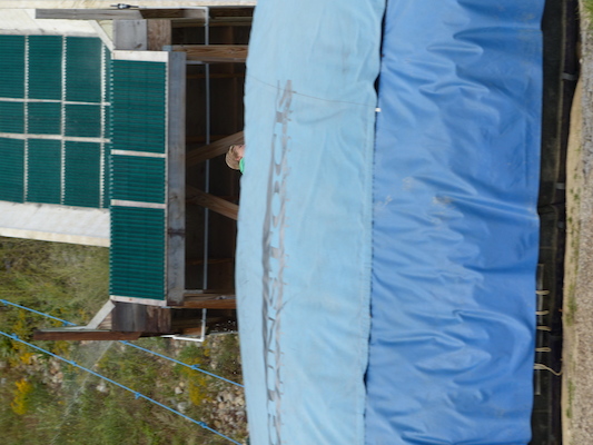 P1060356 (09-10-2016 12:45)