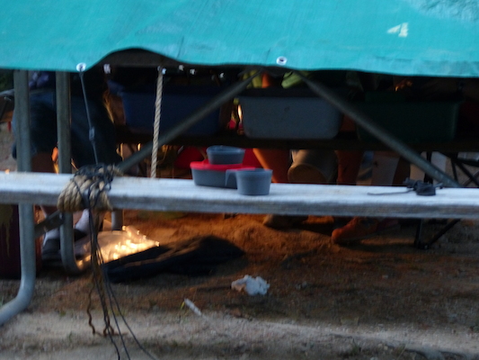 P1060367 (09-10-2016 18:58)